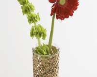 readymade Cork Vase